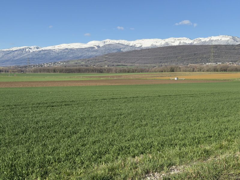 The Jura mountains. Image © PlanetSKI